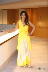 Shriya Saran at SIIMA 2019 Pressmeet